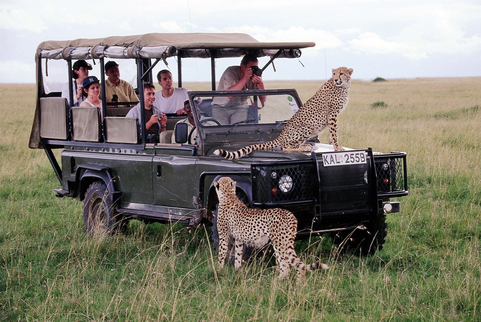 Masai Mara | LAT.40