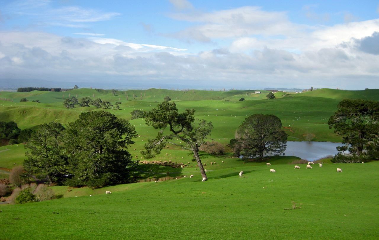 Matamata | LAT.40