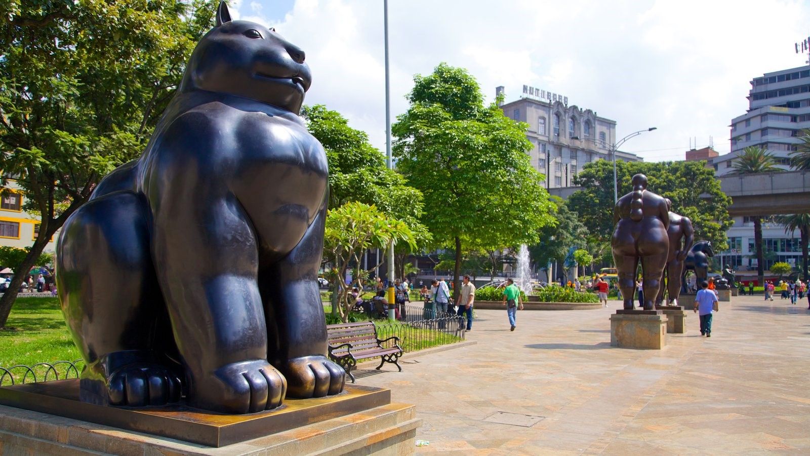 Medellin | LAT.40