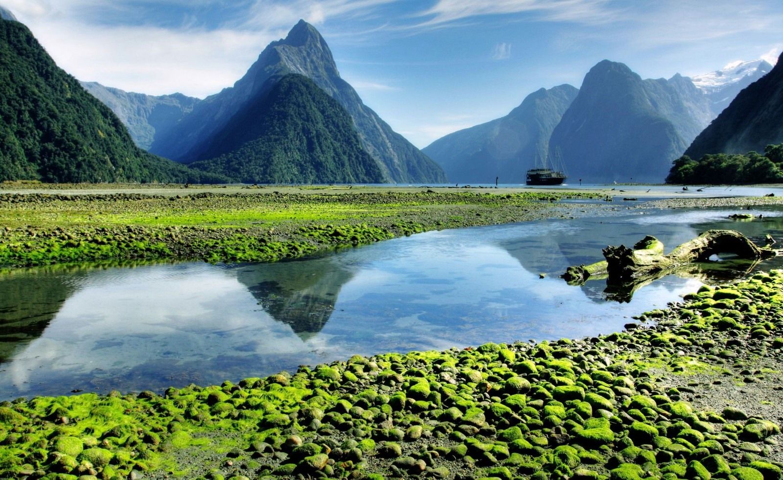 Milford Sound | LAT.40