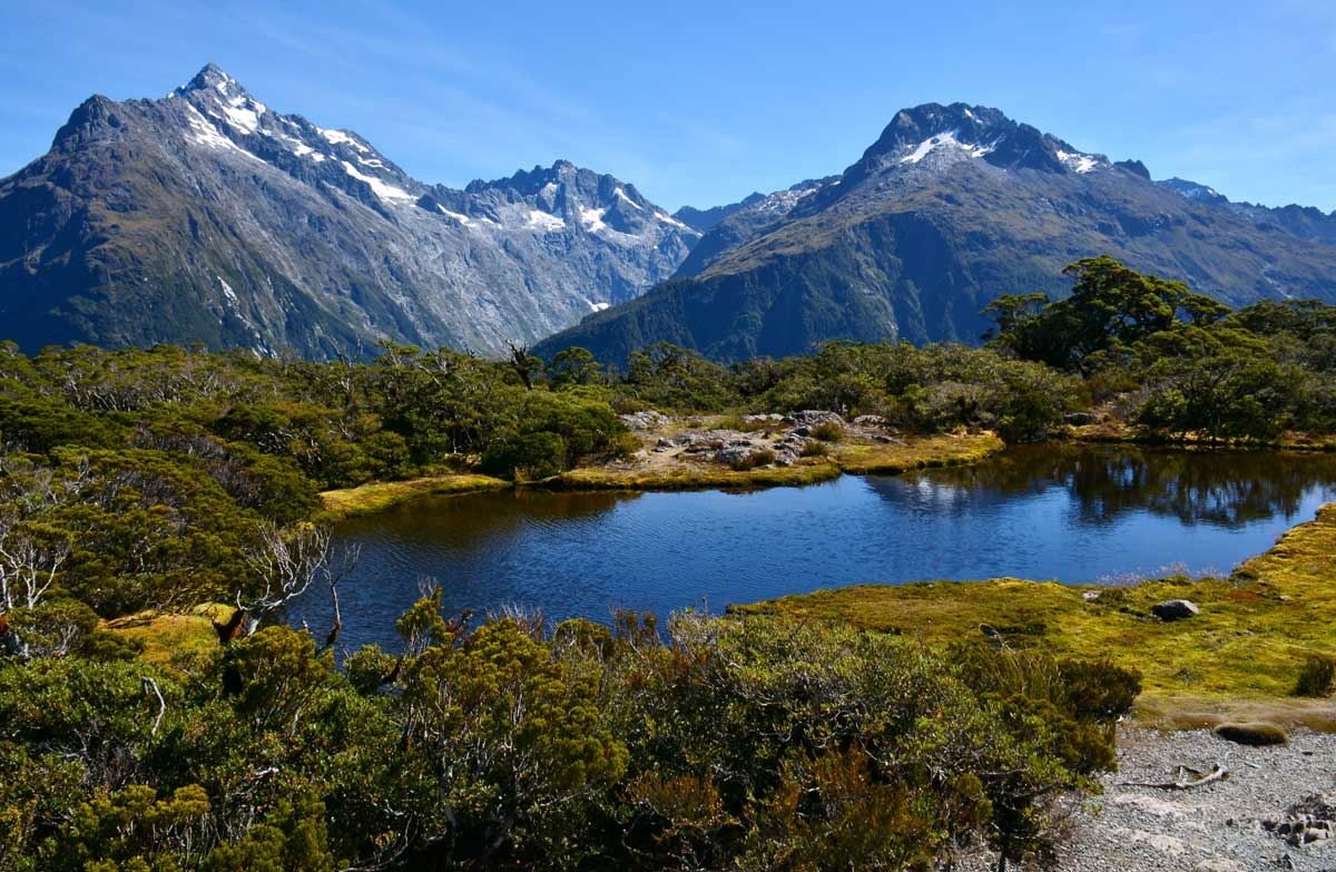 Milford Sound | LAT.40