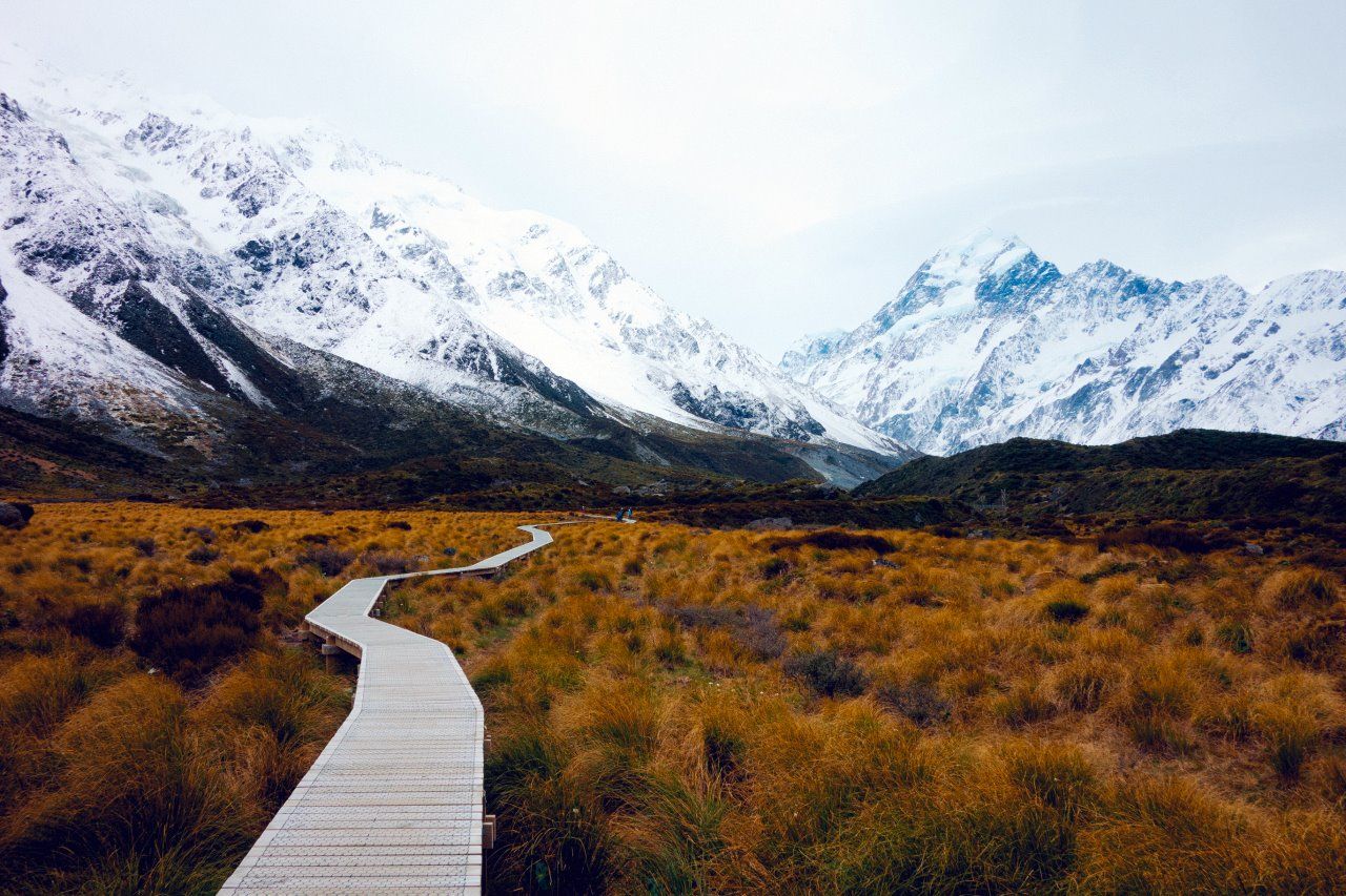 Mt Cook