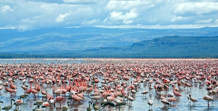 Naivasha | LAT.40