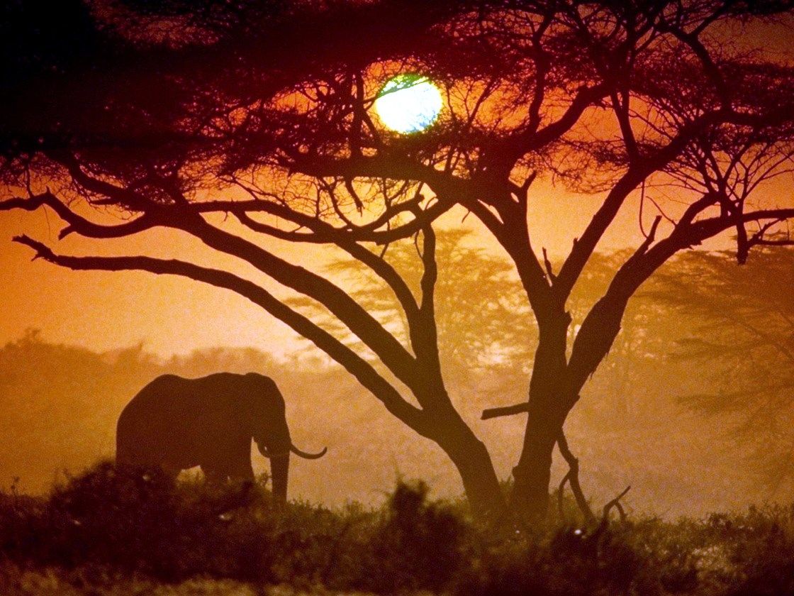 Safari en Kenia diseñado por LAT.40