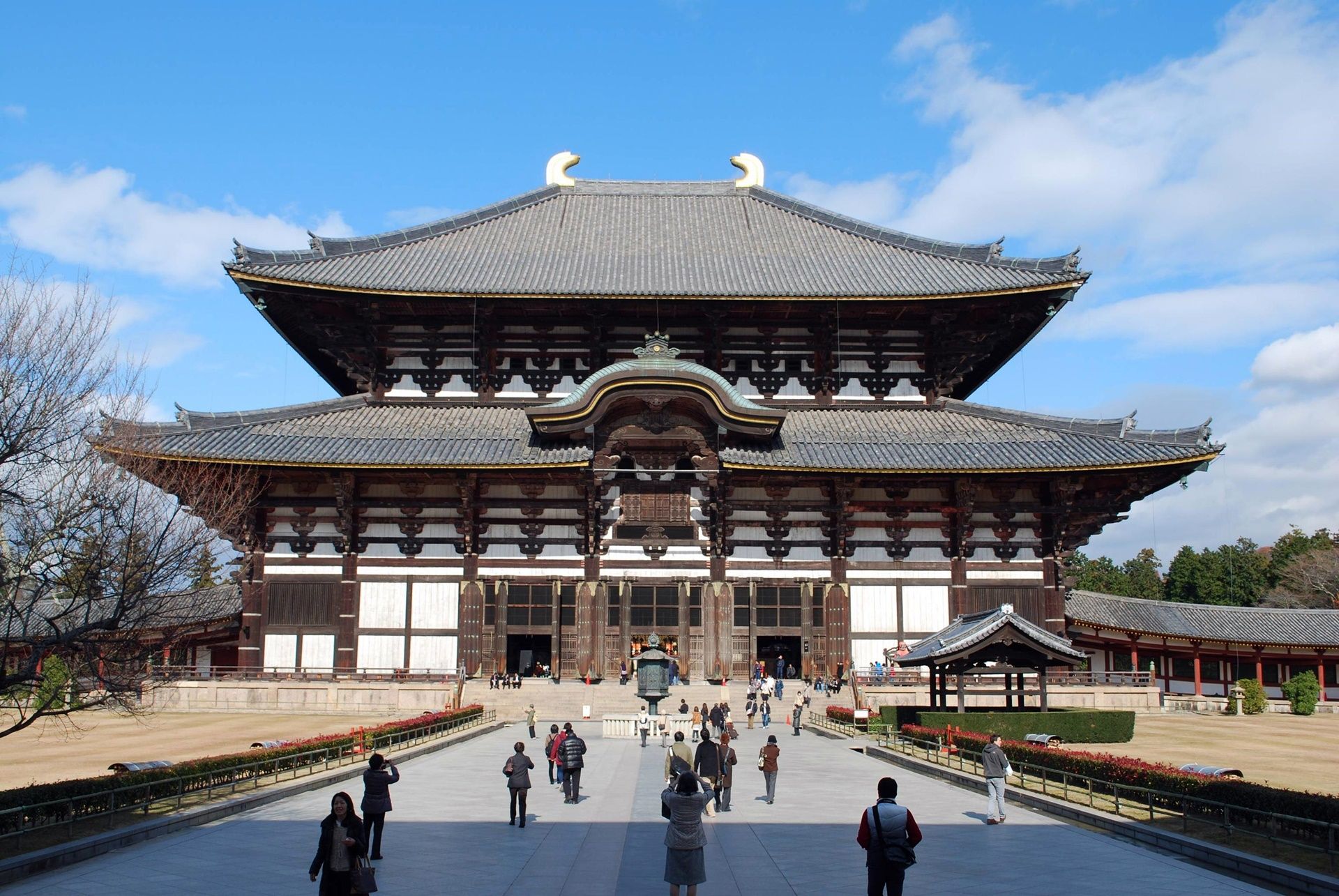 Nara | LAT.40