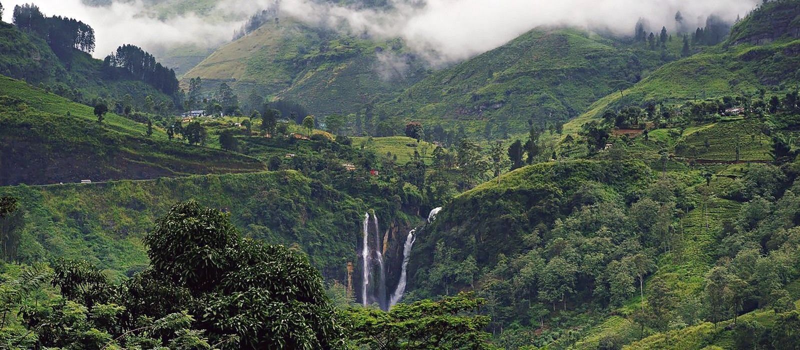 Nuwara Eliya