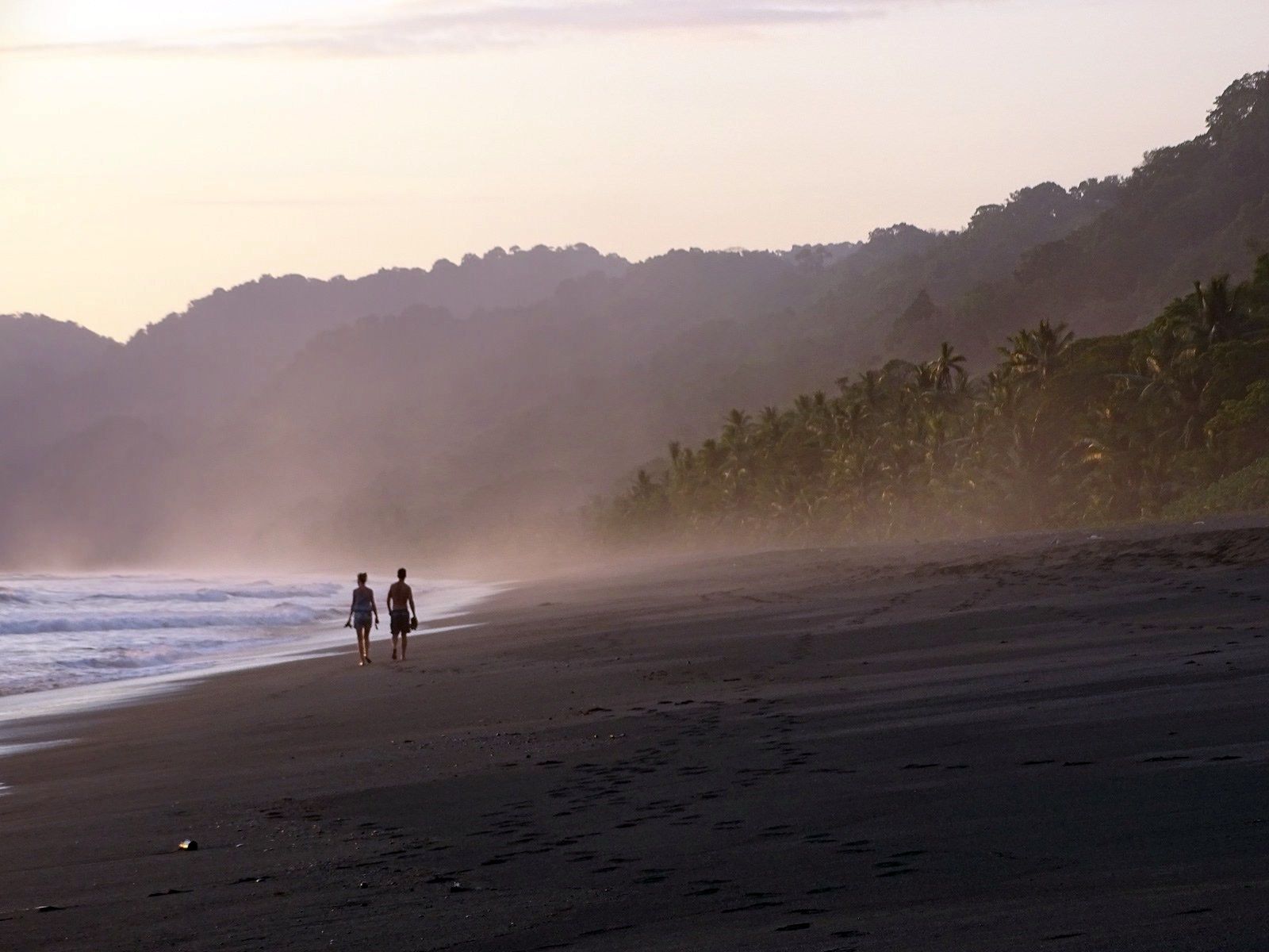 Osa Peninsula (Corcovado) | LAT.40