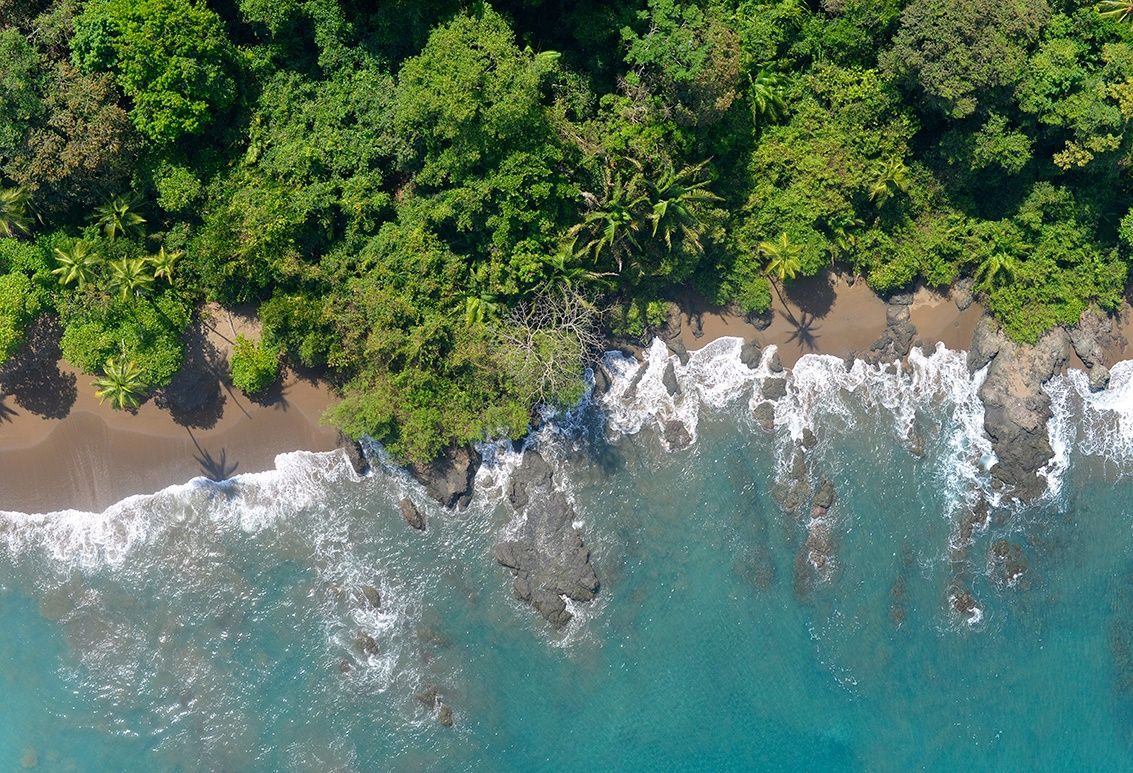 Osa Peninsula (Corcovado) | LAT.40