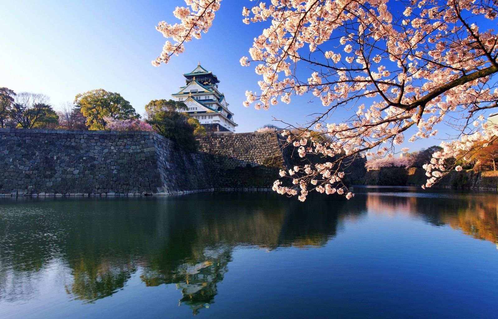 Osaka | LAT.40
