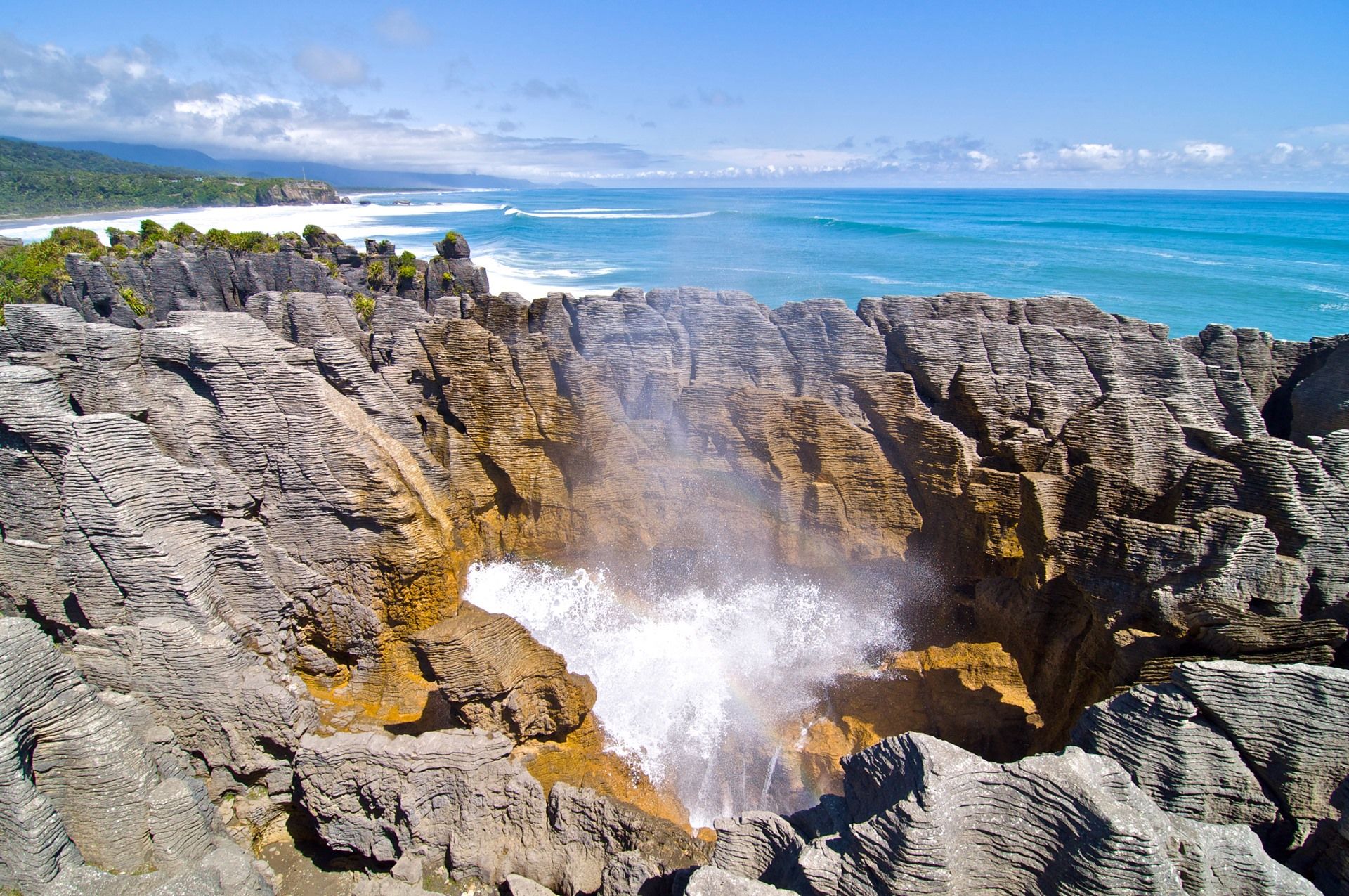 Paparoa | LAT.40