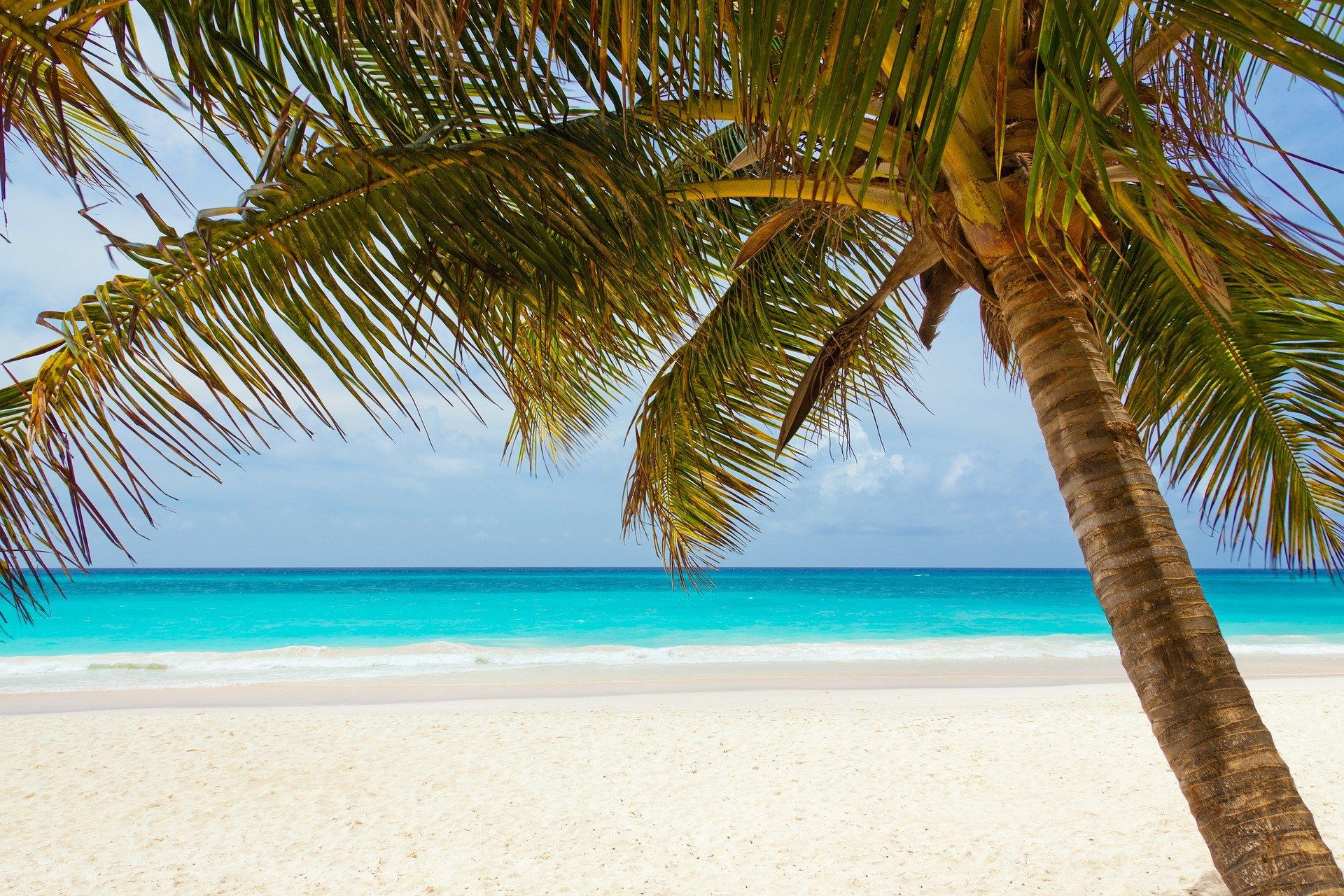 Playa del Carmen | LAT.40