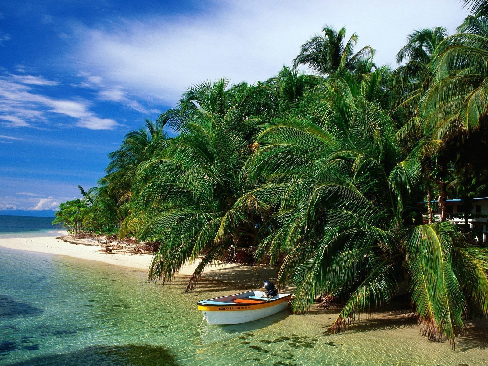 Puerto Viejo | LAT.40