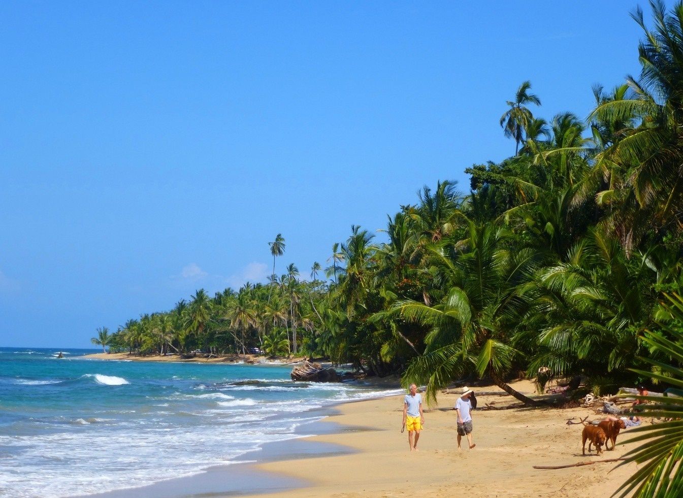 Puerto Viejo | LAT.40
