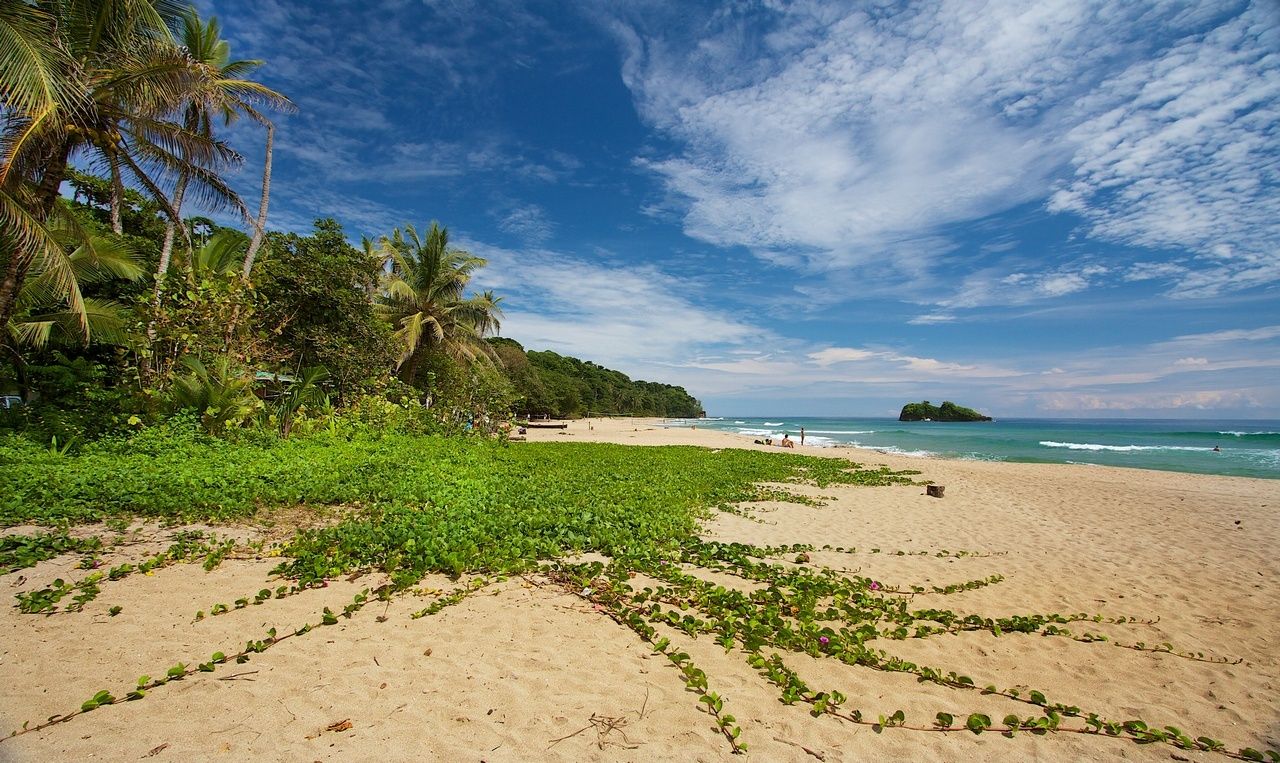 Puerto Viejo | LAT.40
