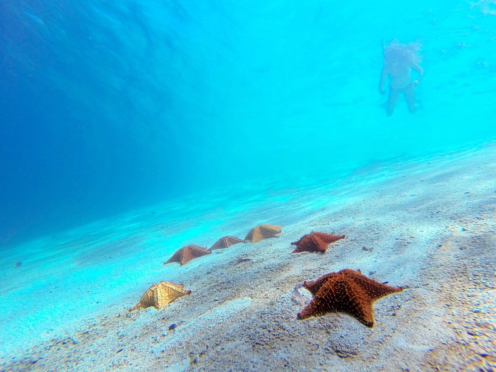 San Blas Islands | LAT.40