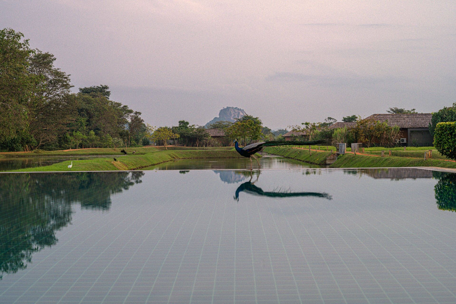 Water Garden Sigiriya en su destino