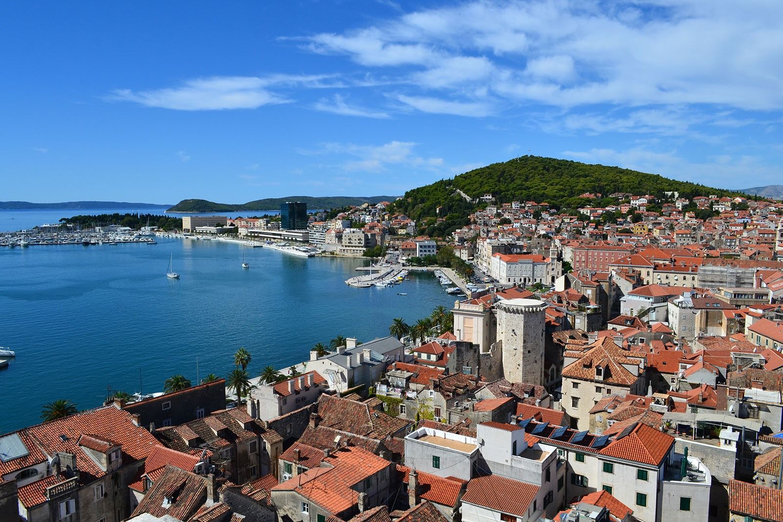 Split | LAT.40