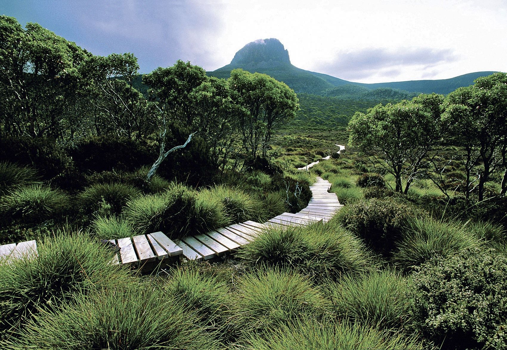 Tasmania | LAT.40