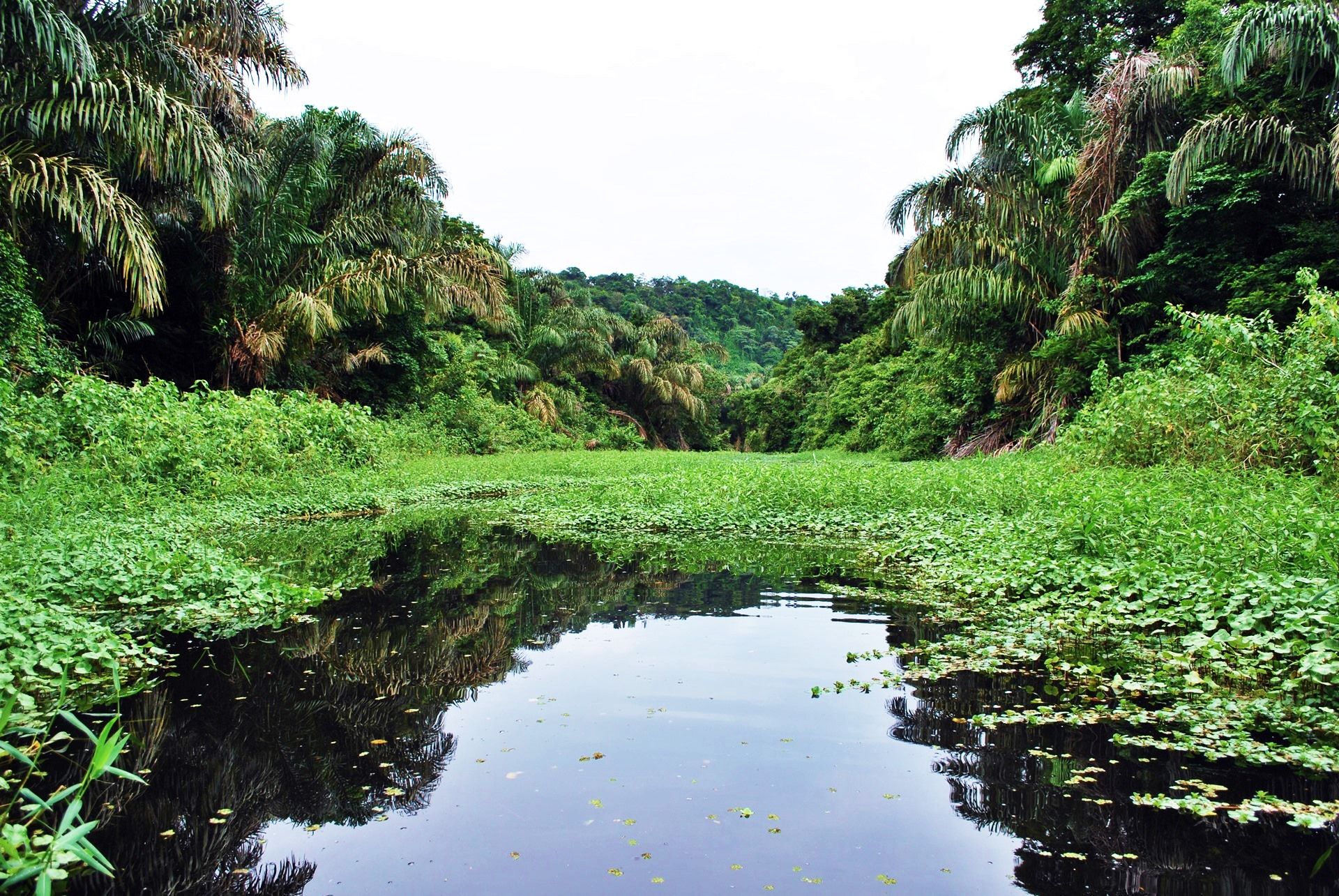Tortuguero | LAT.40