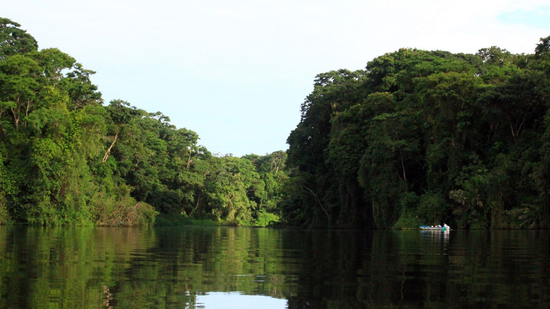 Tortuguero | LAT.40