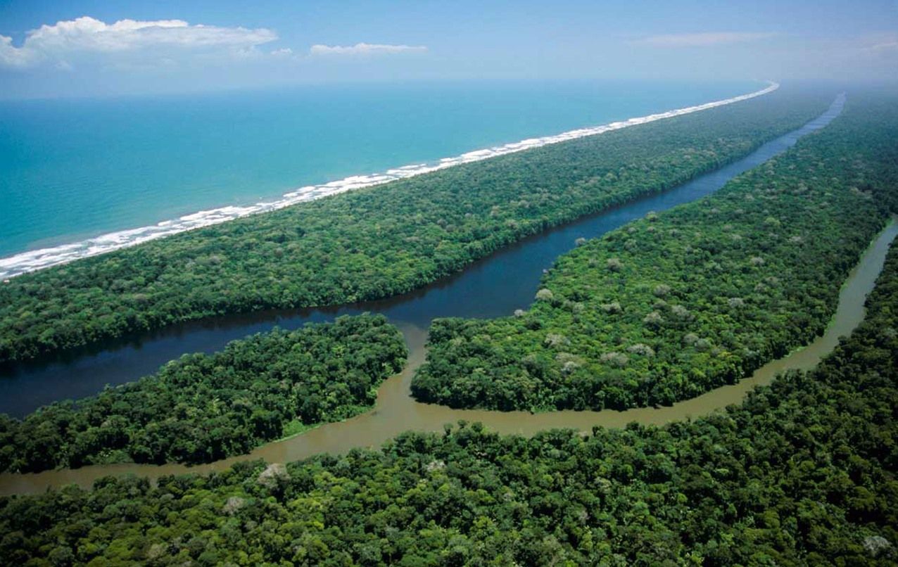 Tortuguero | LAT.40
