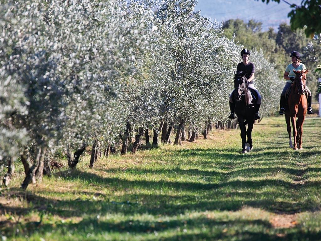 Il Borro en Toscana