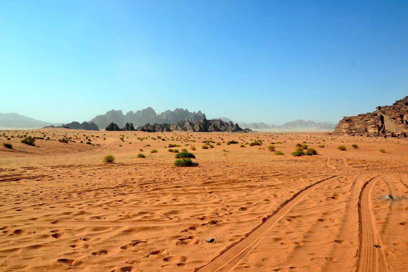 Wadi Rum | LAT.40