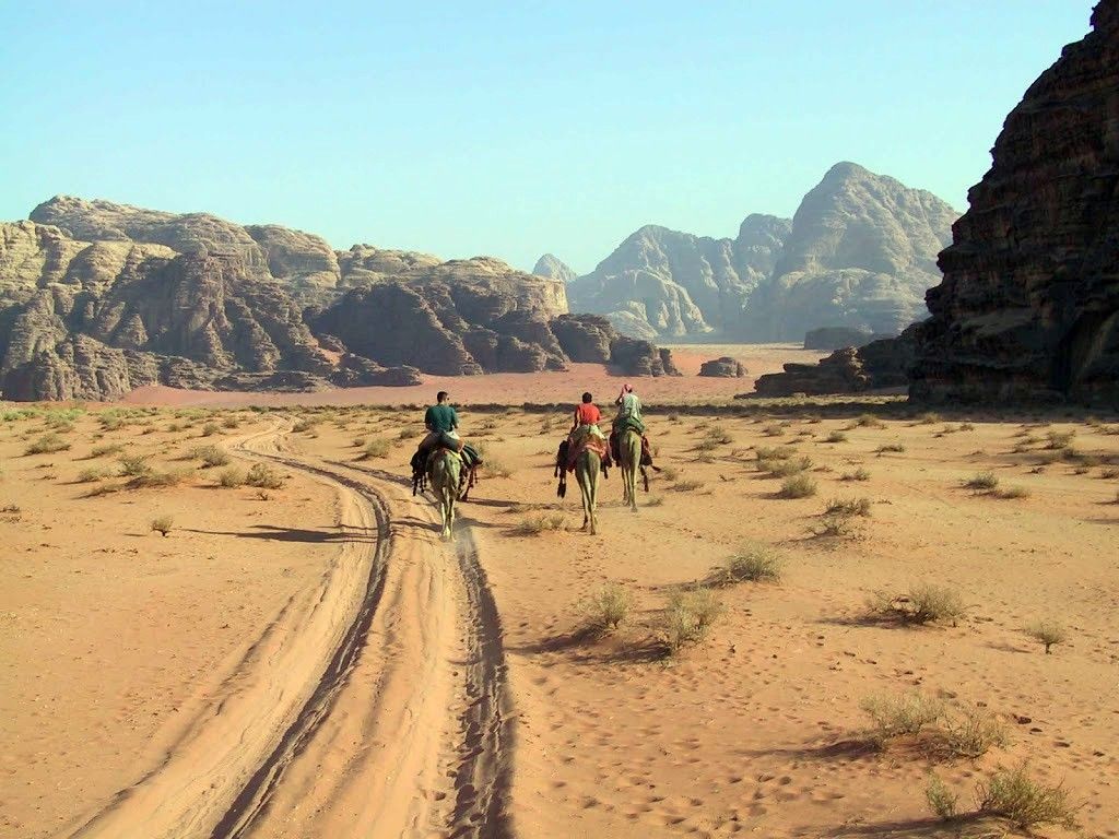 Wadi Rum | LAT.40
