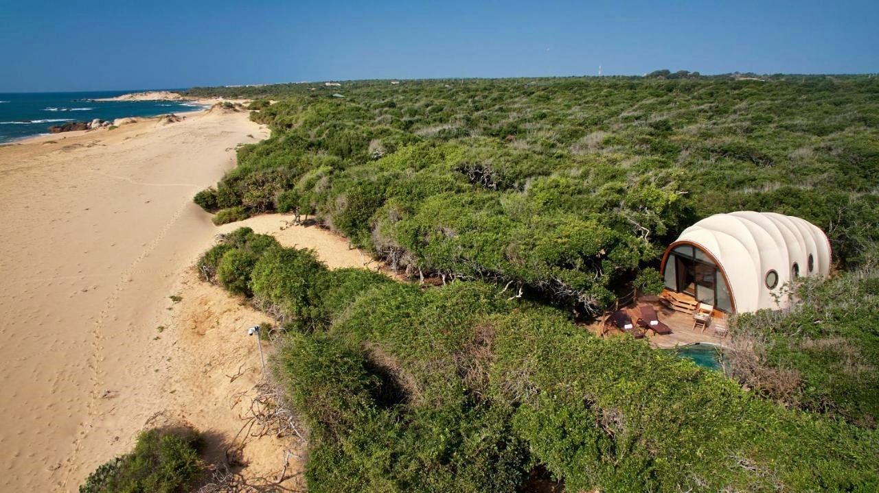 Wild Coast Tented Lodge en su destino