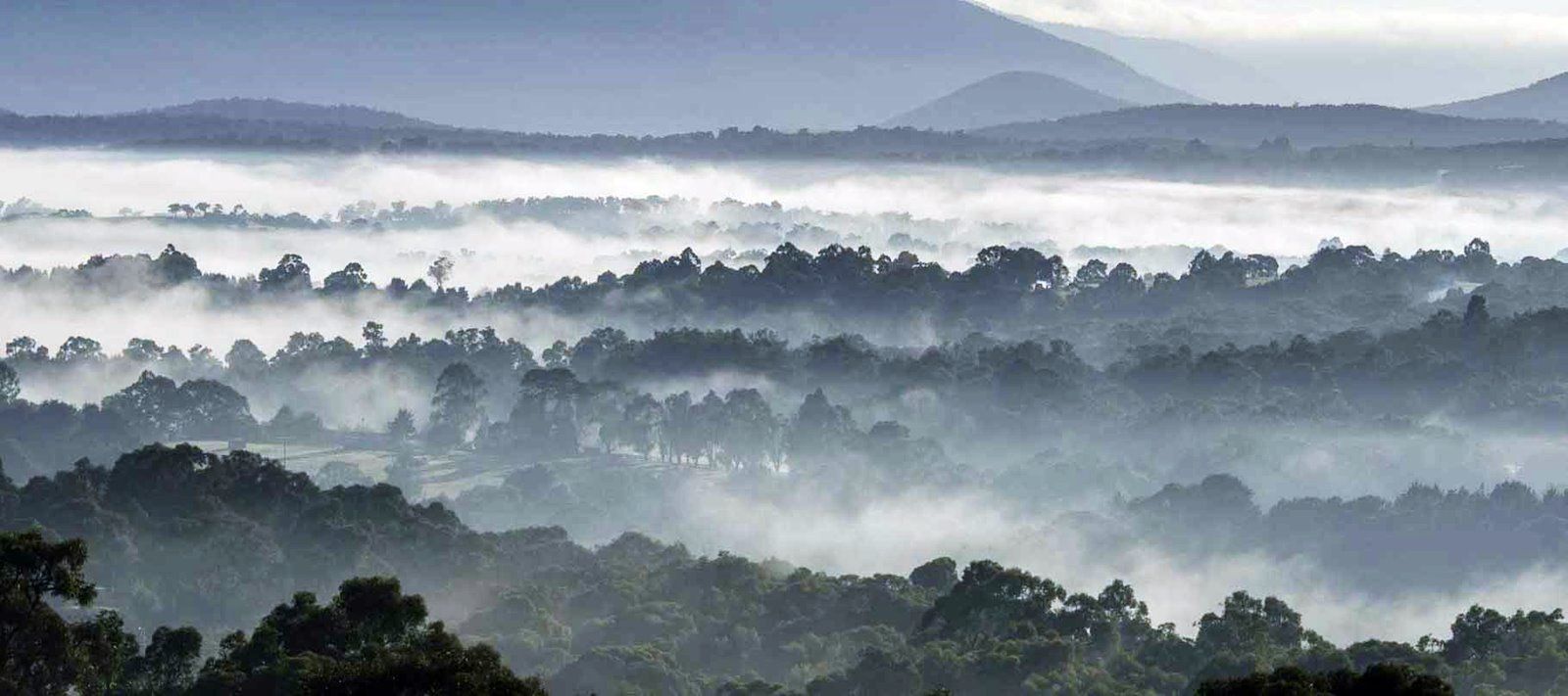 Yarra Ranges | LAT.40