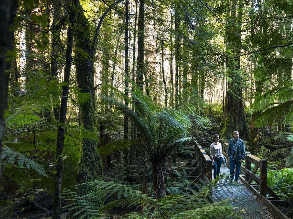 Yarra Ranges | LAT.40