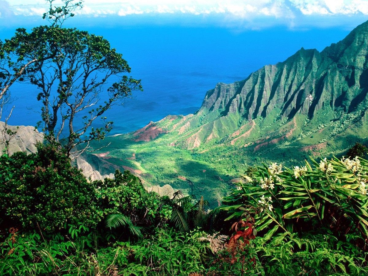 Kauai | LAT.40