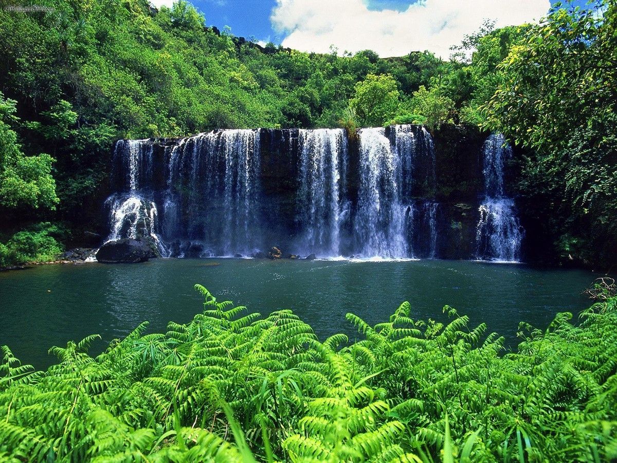 Kauai | LAT.40