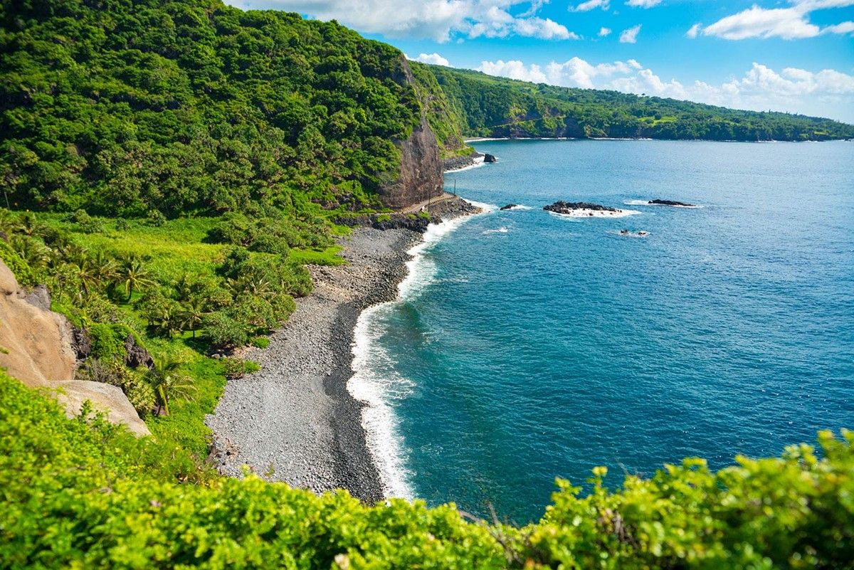 Maui | LAT.40
