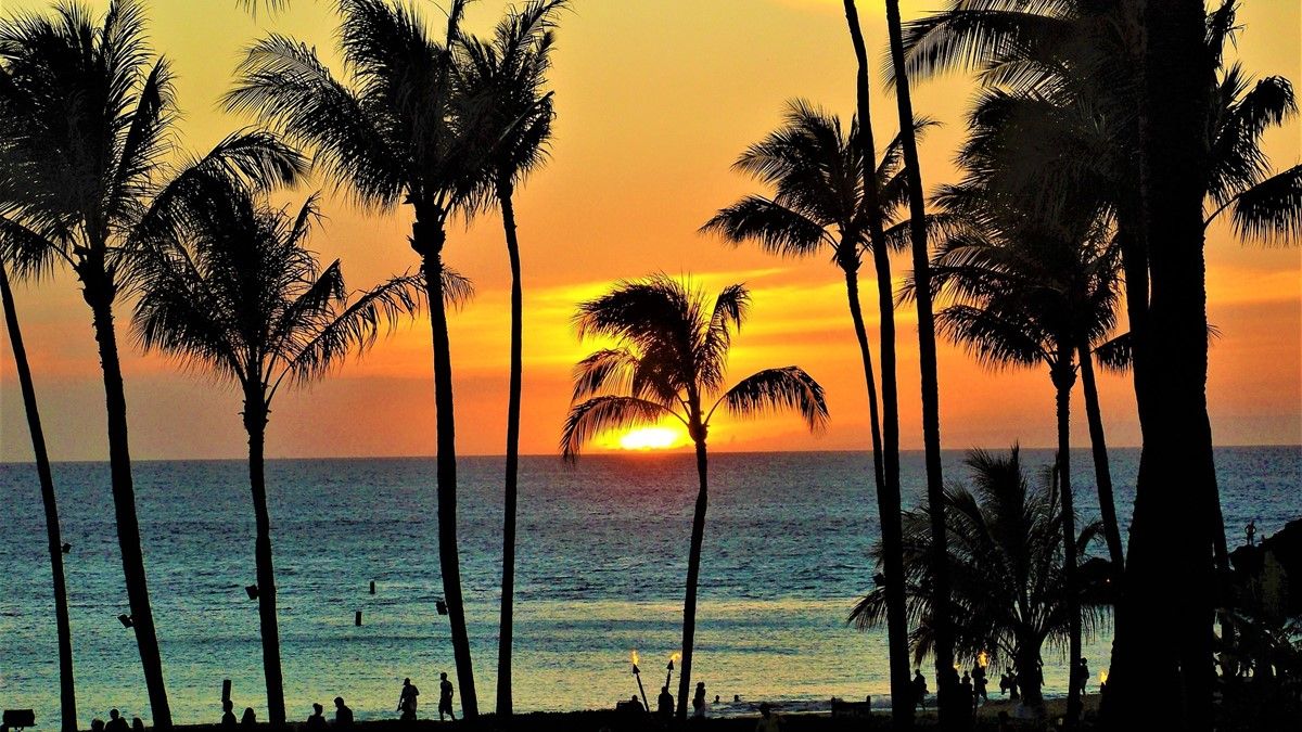 Maui | LAT.40