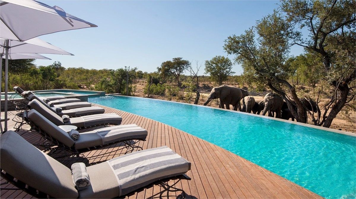 Safari Kruger y Ciudad del Cabo &beyond Ngala diseñado por LAT.40