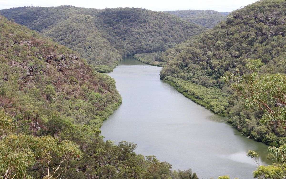 Berowa Valley National Park | LAT.40