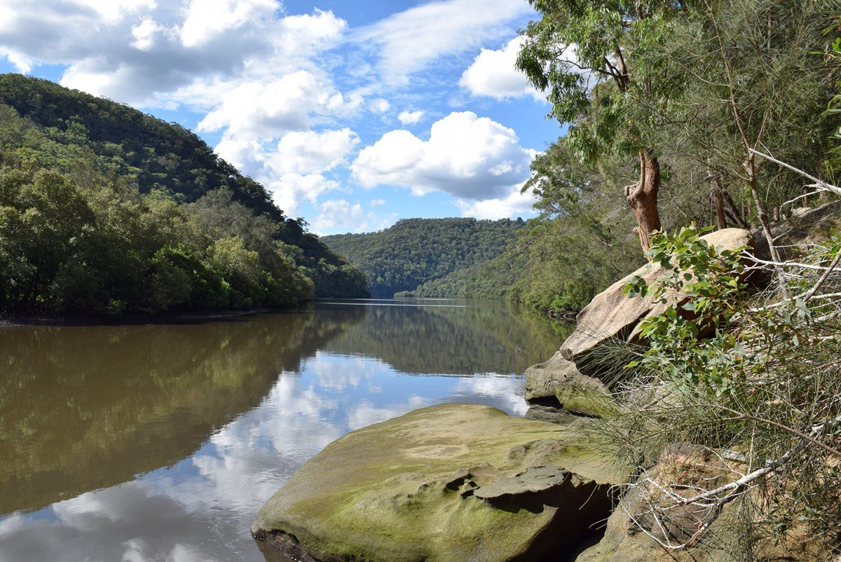 Berowa Valley National Park | LAT.40