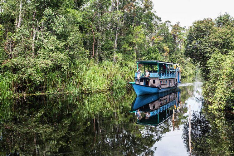 borneo sur | LAT.40
