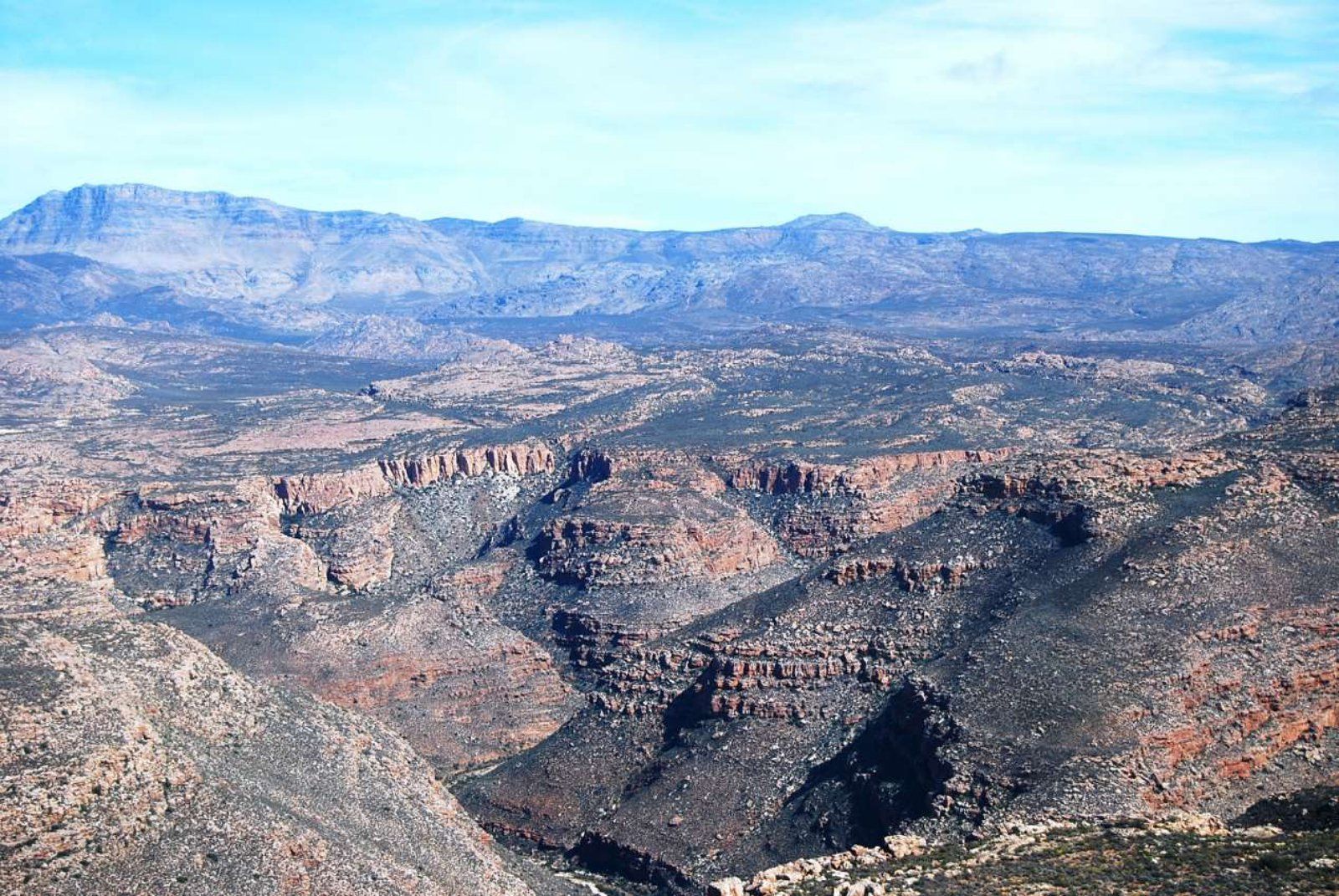 Cederberg | LAT.40
