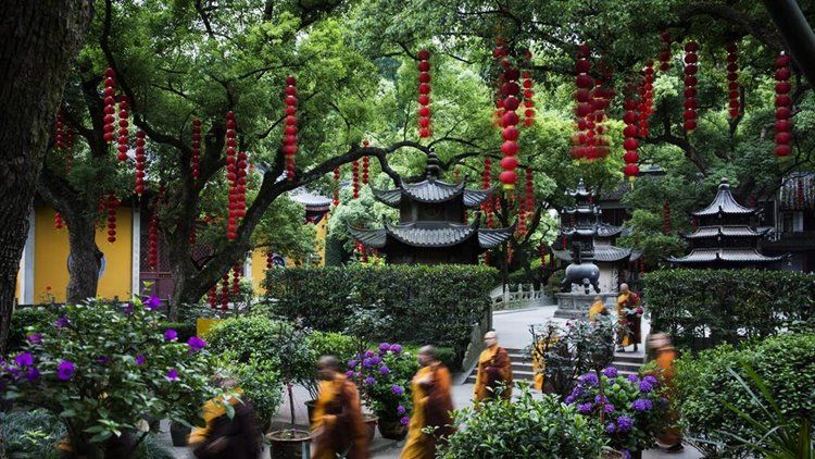 Hangzhou | LAT.40