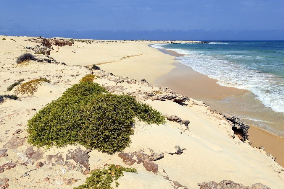 isla de boa vista | LAT.40