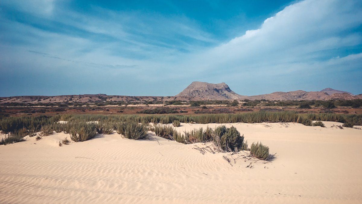 isla de boa vista | LAT.40