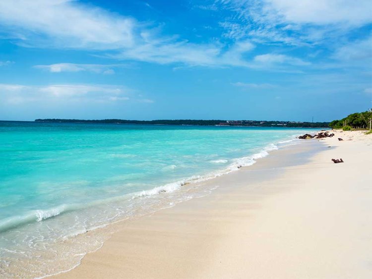 Islas del Rosario | LAT.40