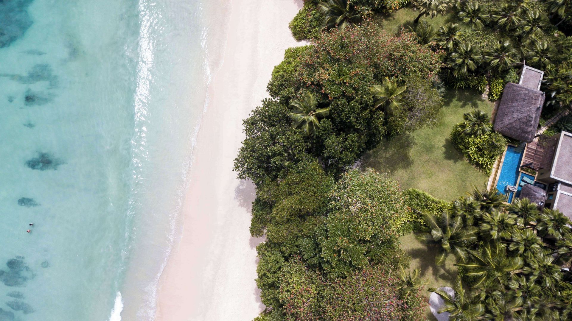 Exclusiva Kenia (Lewa, Enasoit) y Seychelles Anantara diseñado por LAT.40
