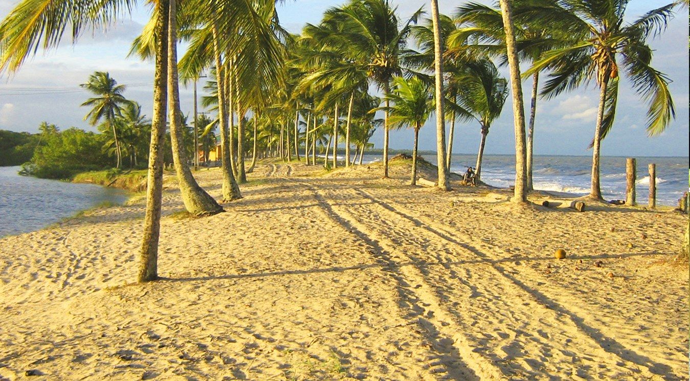 Marau Peninsula | LAT.40
