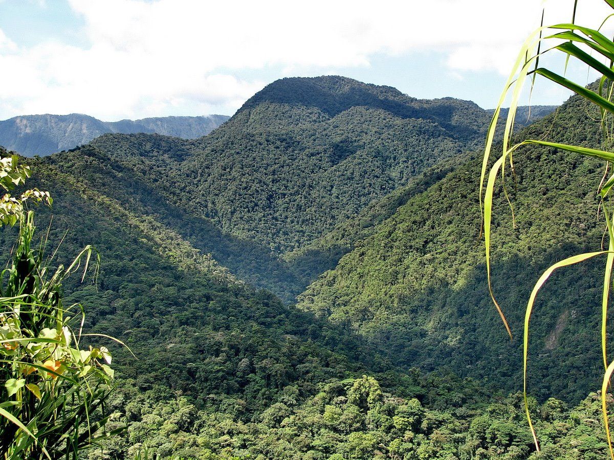 Parque Nacional Braulio Carrillo | LAT.40