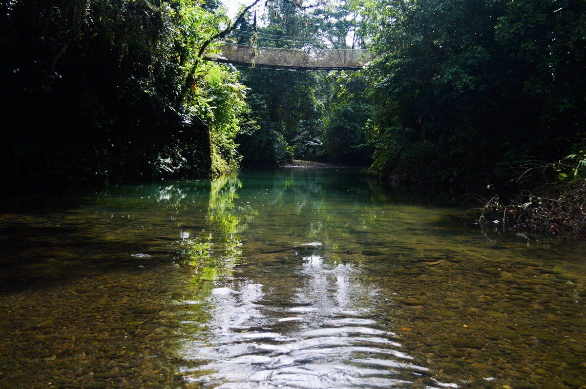 Parque Nacional Braulio Carrillo | LAT.40