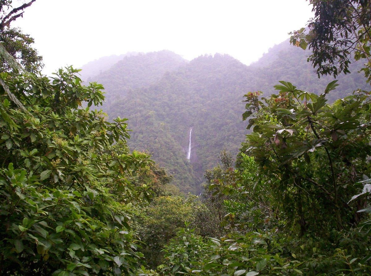Parque Nacional Braulio Carrillo | LAT.40