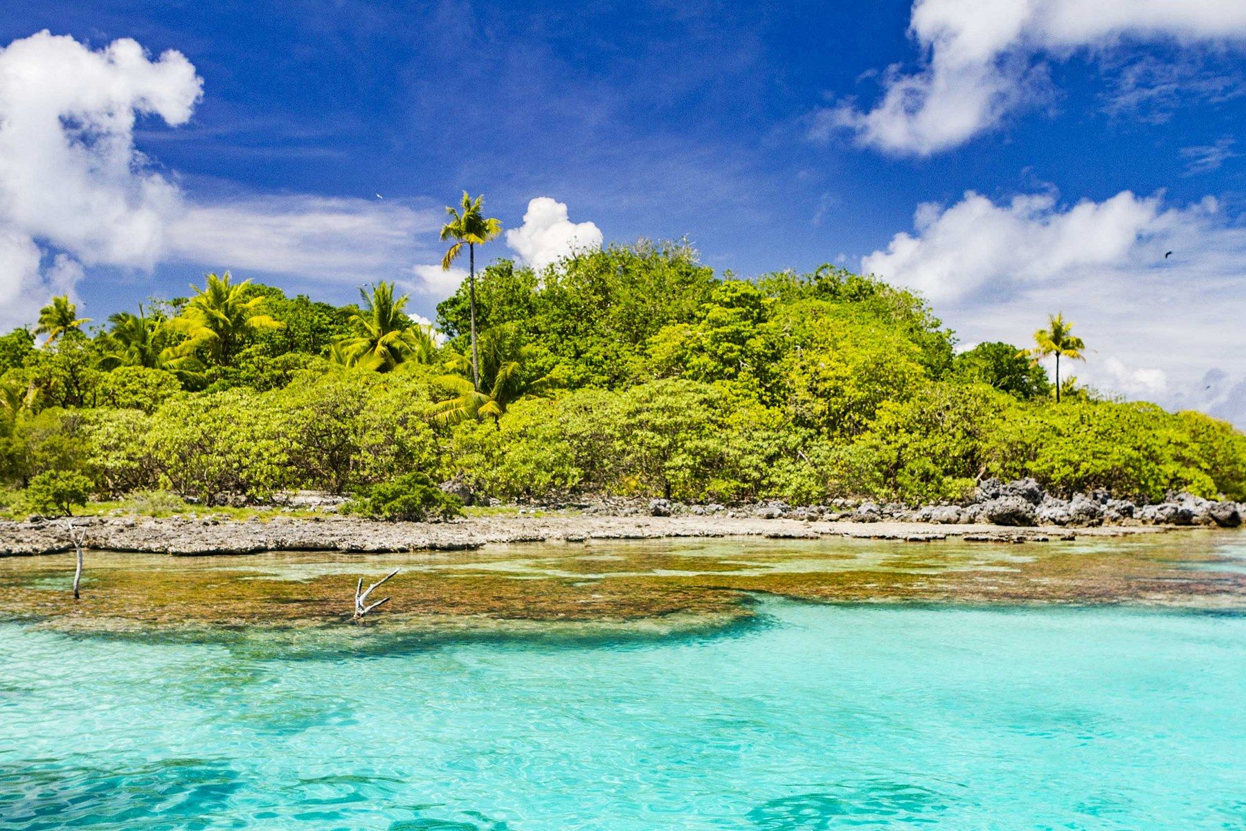 Motu Ninamu en Tikehau